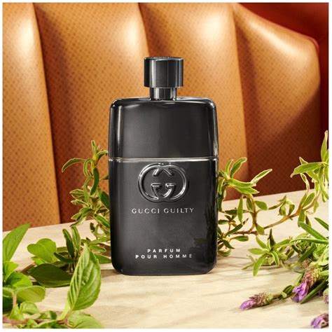 douglas gucci guilty pour homme|Gucci Guilty Pour homme notes.